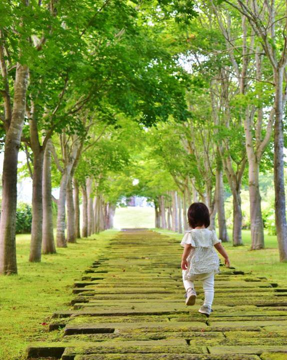 はるなつあきふゆ子連れ旅ブログ